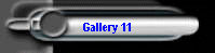 Gallery 11